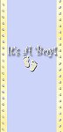 <h3>It’s A Boy Mini Wrapper </h3>