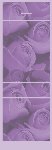 <h3>Purple Rose Bouquet Mintbook </b></h3>
