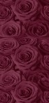<h3>Bordeaux Roses Mini Wrapper </h3>
