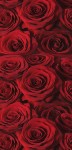 <h3>Red Roses Mini Wrapper </h3>