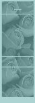 <h3>Teal Rose Bouquet Mintbook </b></h3>